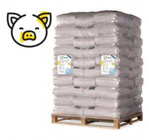 Pienso ecológico cerdas lactantes