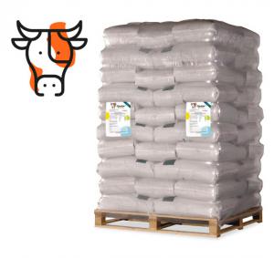 Pienso ecológico vacas mantenimiento