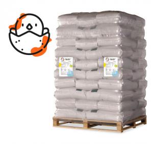 Pienso ecológico pollitas crecimiento